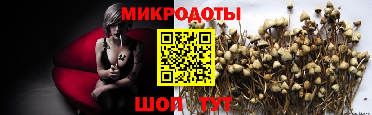 Псилоцибиновые грибы мухоморы  купить наркотик  Курганинск 