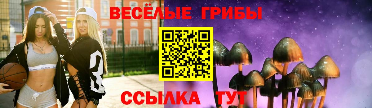 Галлюциногенные грибы GOLDEN TEACHER Курганинск